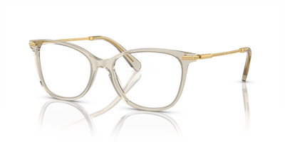 Sunglasses Swarovski SK2010 3003 54 17
