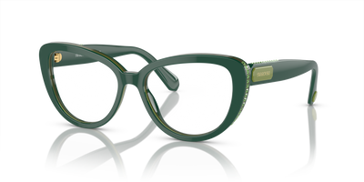 Gafas de Sol Swarovski SK2014 1017 52 17