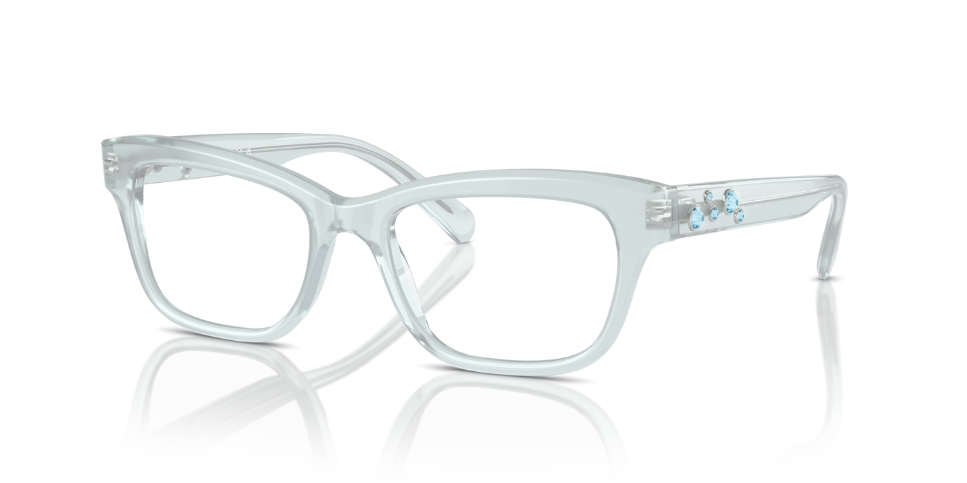 Sonnenbrille Swarovski SK2022 1024 51 18
