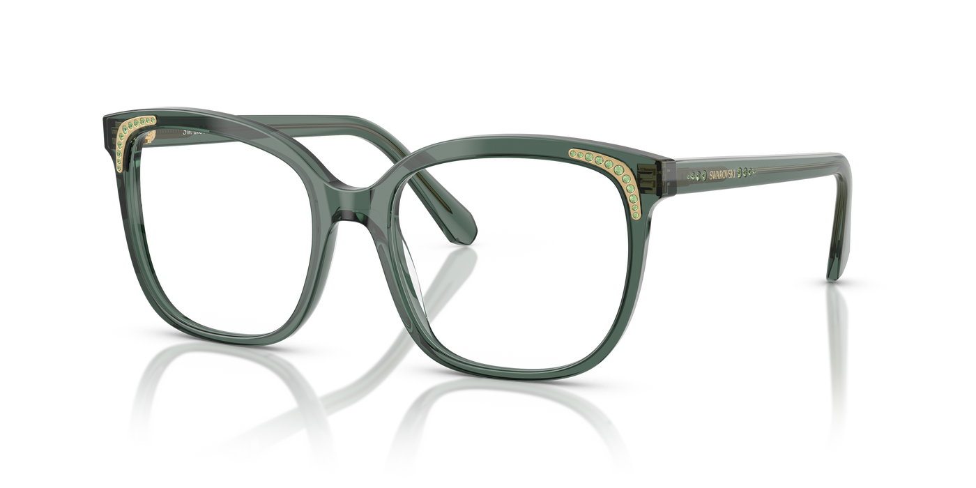 Gafas de Sol Swarovski SK2033 1043 54 18