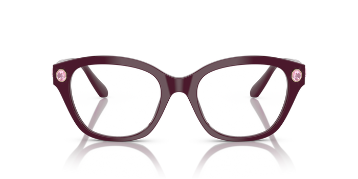 Gafas de Sol Swarovski SK2038 1044 53 19 — vista 2