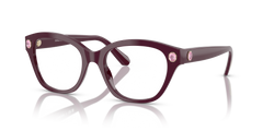 Gafas de Sol Swarovski SK2038 1044 53 19