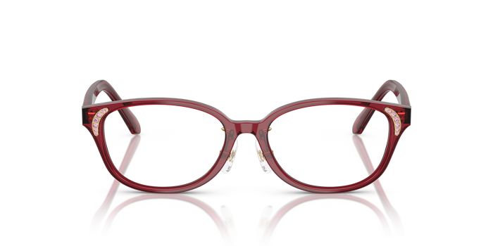 Gafas de Sol Swarovski SK2040D 1055 52 16 — vista 2