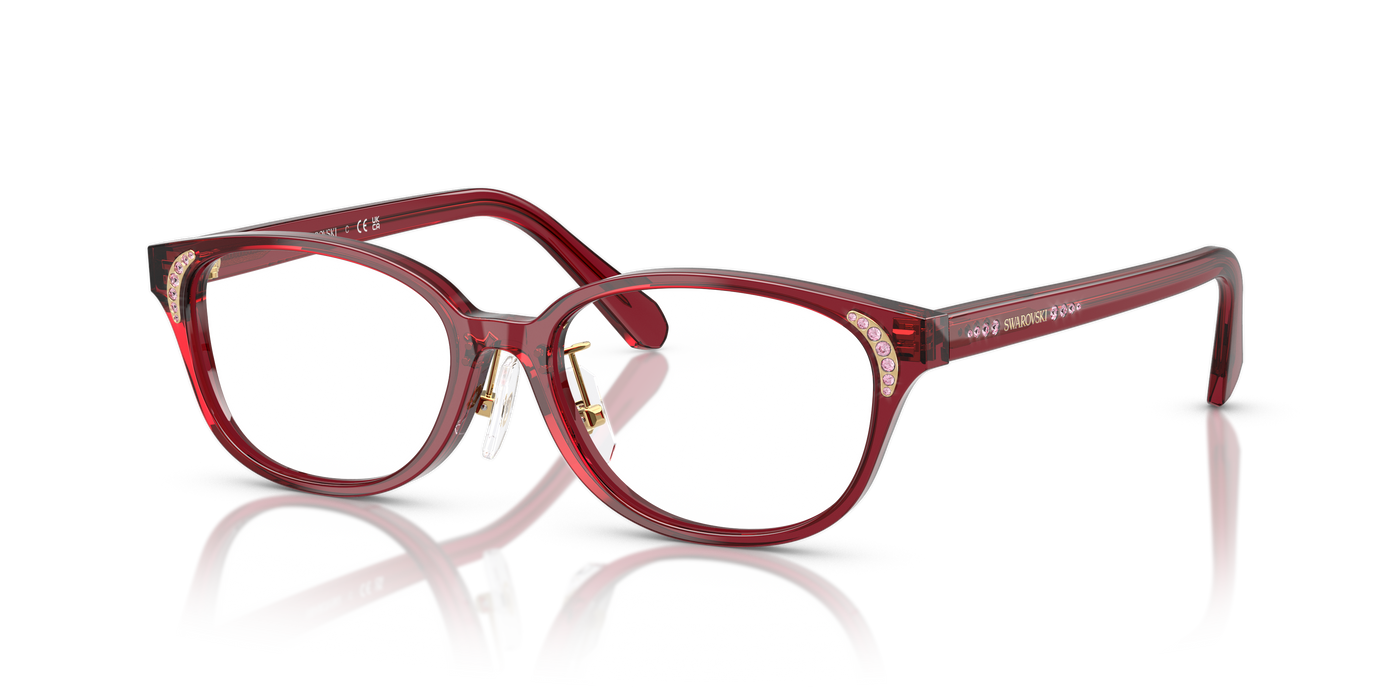 Gafas de Sol Swarovski SK2040D 1055 52 16
