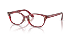 Gafas de Sol Swarovski SK2040D 1055 52 16
