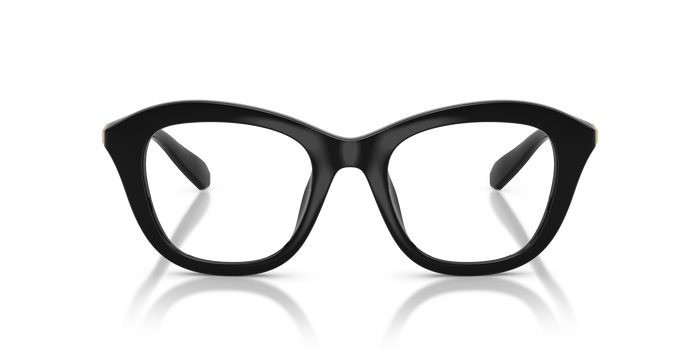 Gafas de Sol Swarovski SK2042U 1001 48 20 — vista 2