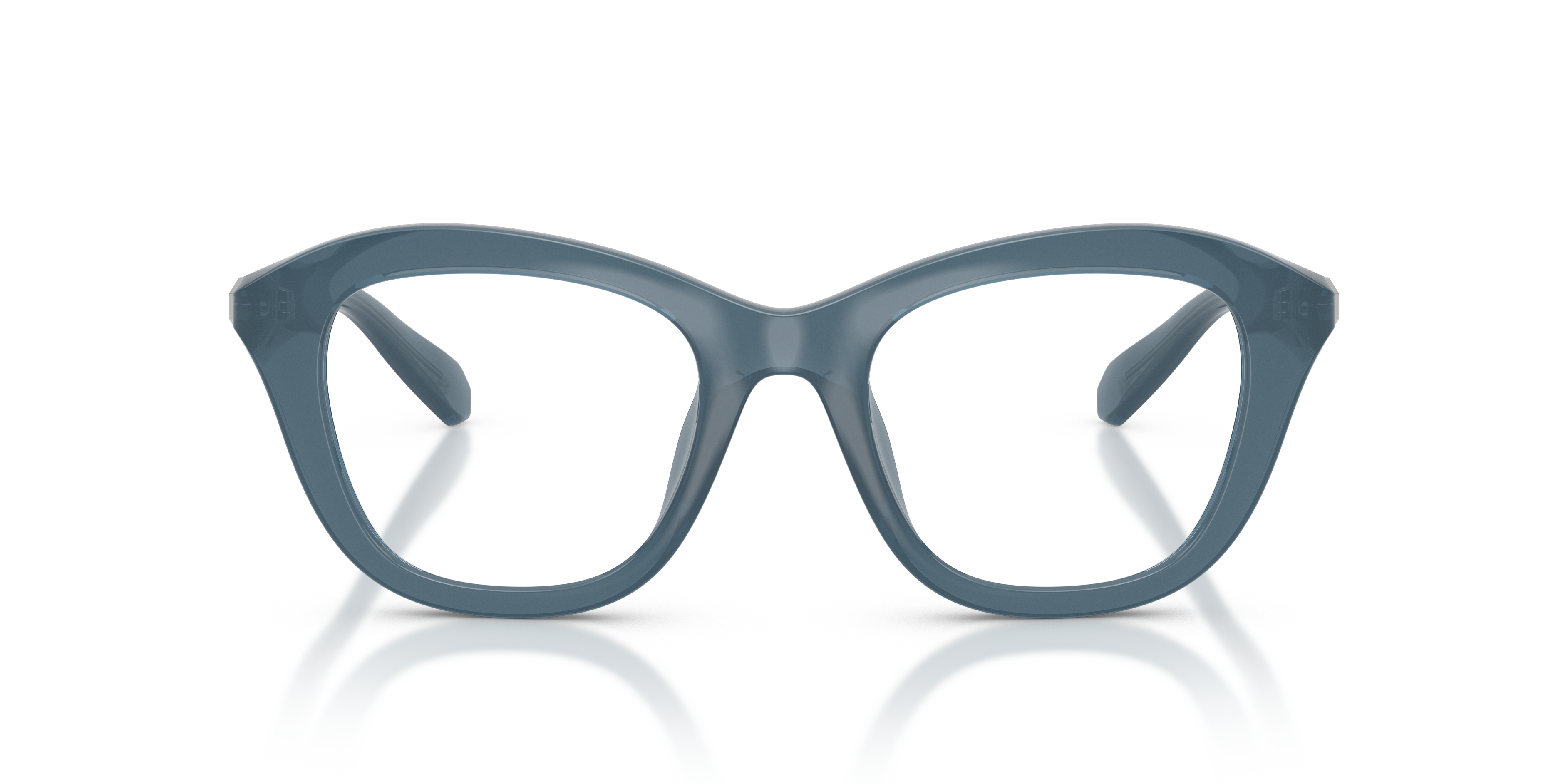 Gafas de Sol Swarovski SK2042U 1035 48 20