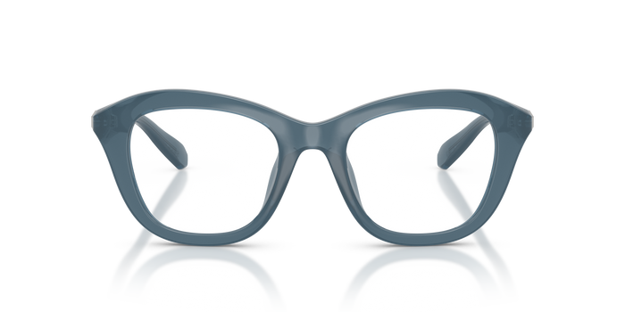 Gafas de Sol Swarovski SK2042U 1035 50 20 — vista 2
