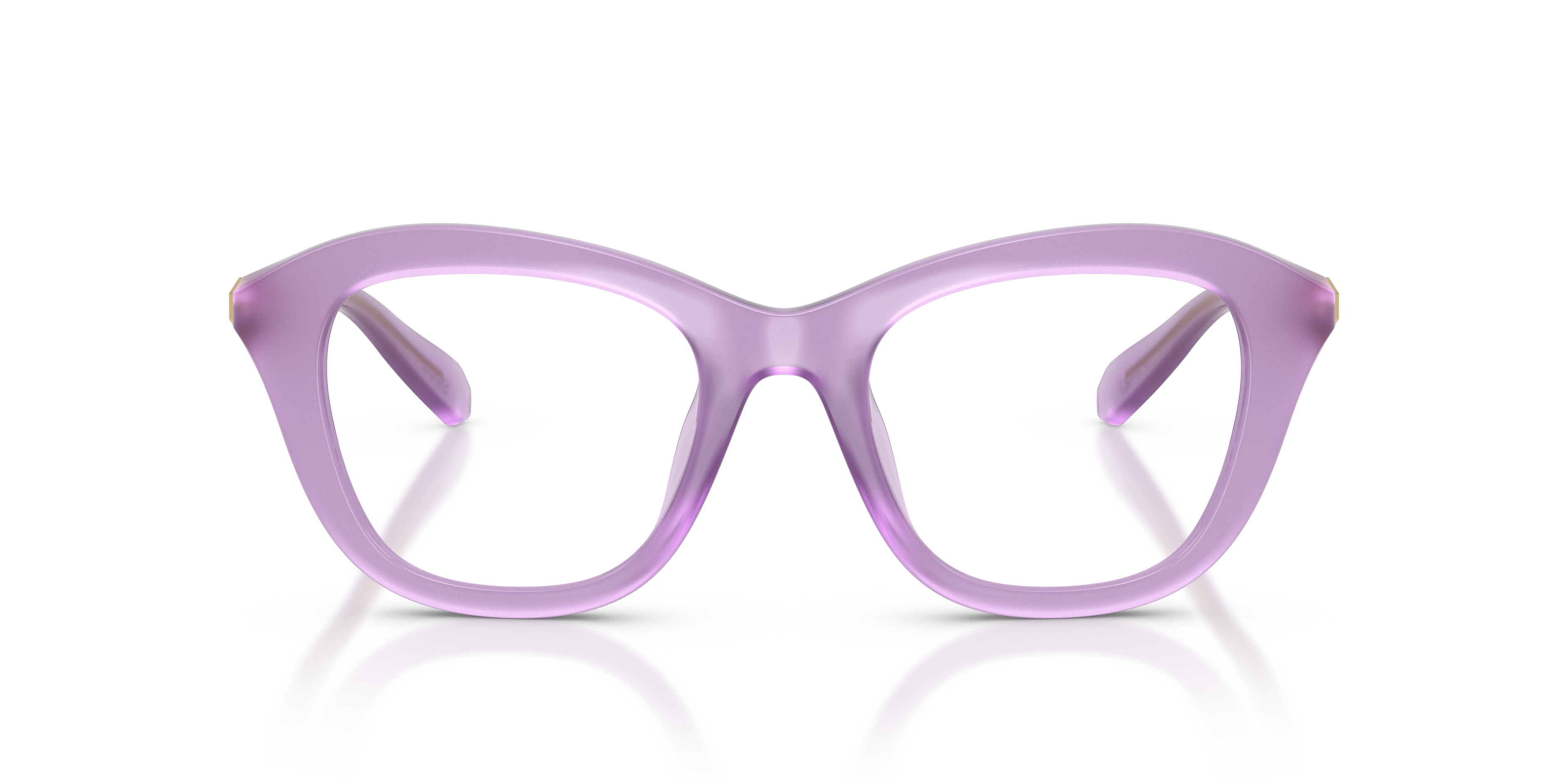 Sunglasses Swarovski SK2042U 1075 48 20