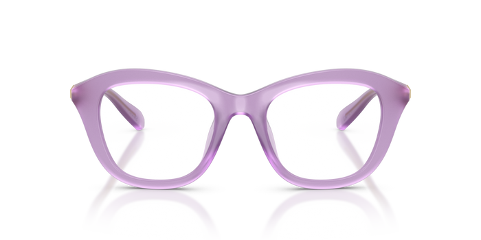 Солнцезащитные очки Swarovski SK2042U 1075 50 20 — vista 2