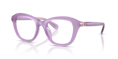 Sunglasses Swarovski SK2042U 1075 48 20