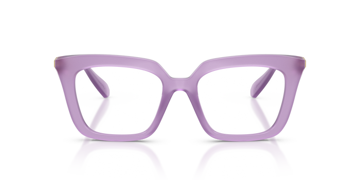 Sunglasses Swarovski SK2043 1075 49 18 — vista 2
