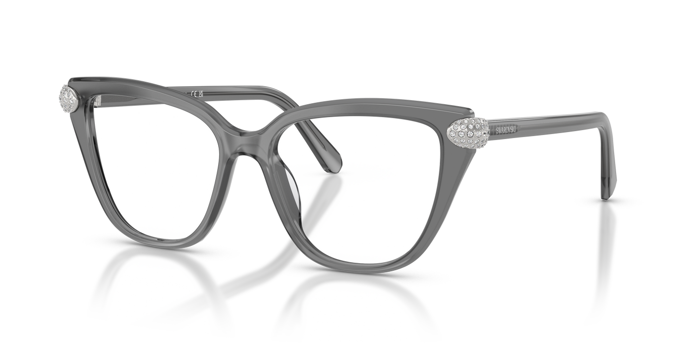 Gafas de Sol Swarovski SK2045 1072 54 16