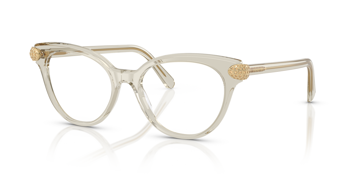 Оправа для очков Swarovski SK2046 3003 53 17