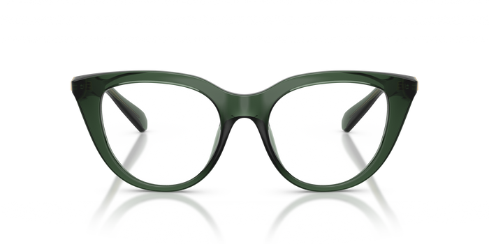 Оправа для очков Swarovski Sk2052 SK2052 1043 49 18 — vista 4