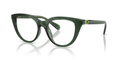 Korrektionsbrille Swarovski Sk2052 SK2052 1043 49 18