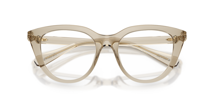 Korrektionsbrille Swarovski Sk2052 SK2052 3003 51 18 — vista 5