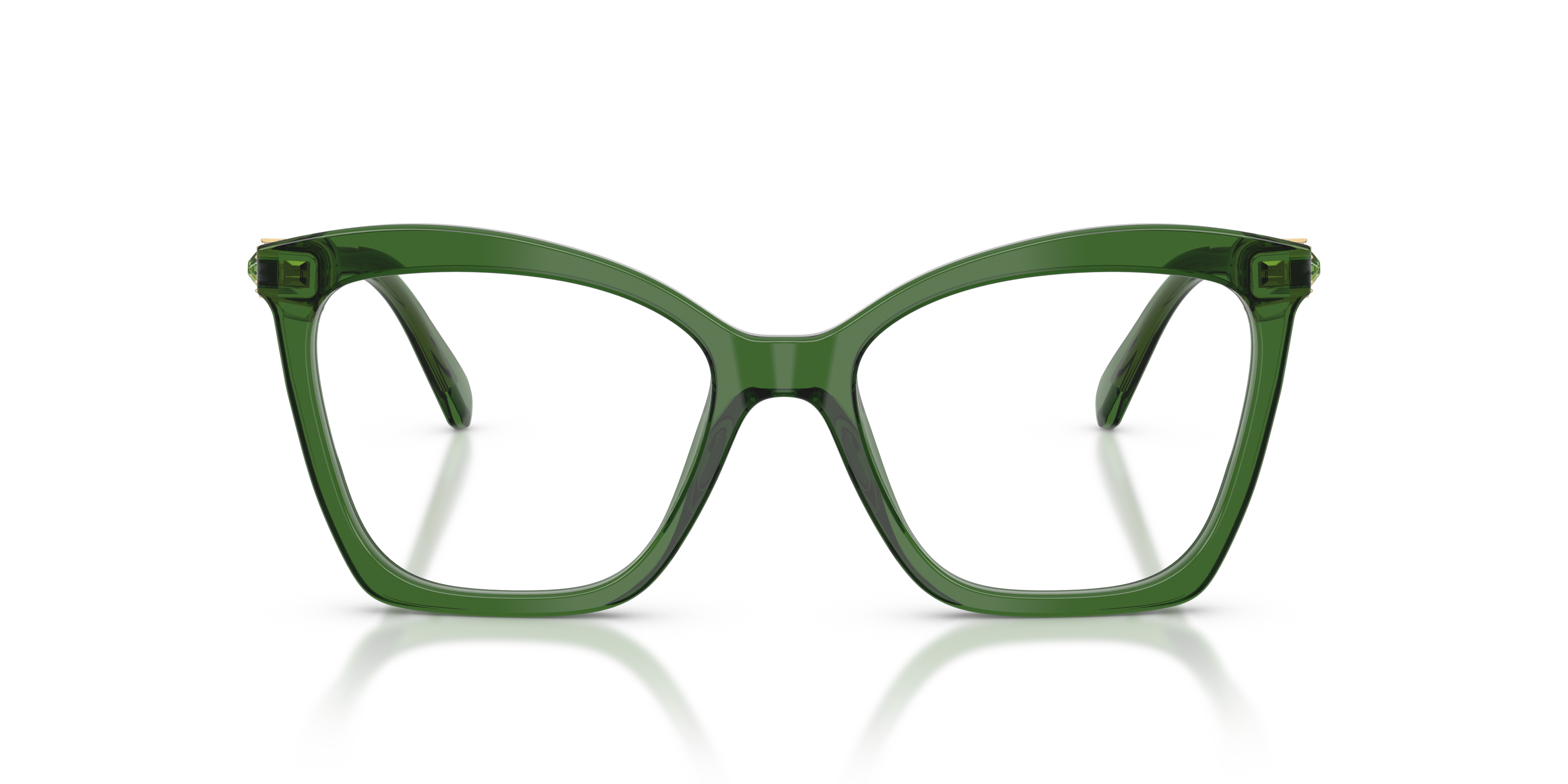 Gafas de Sol Swarovski SK2053 1081 52 17