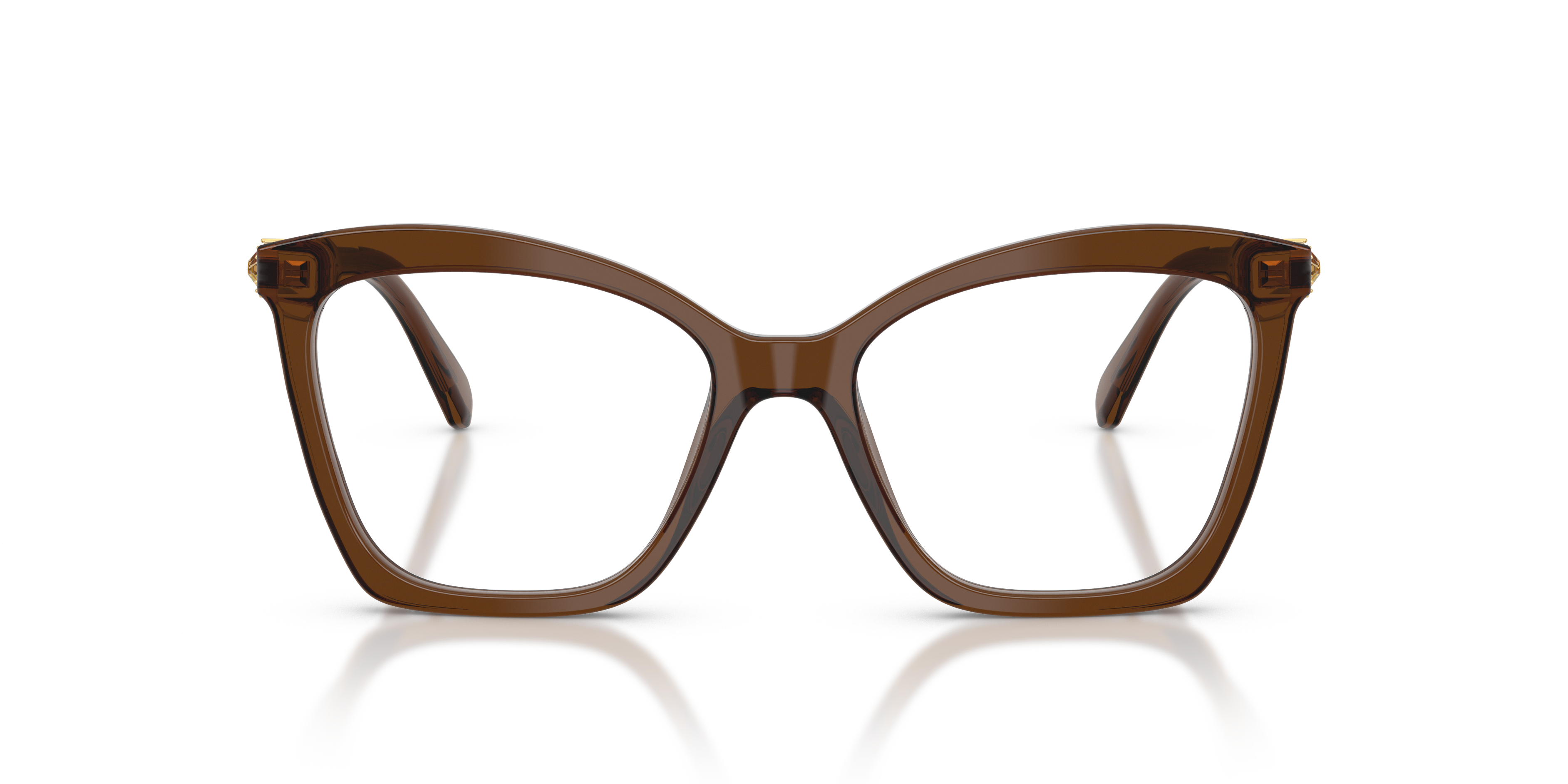 Gafas de Sol Swarovski SK2053 1084 52 17