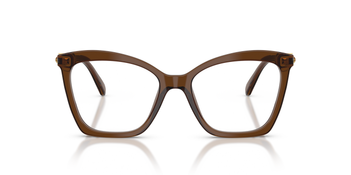 Gafas de Sol Swarovski SK2053 1084 54 17 — vista 2