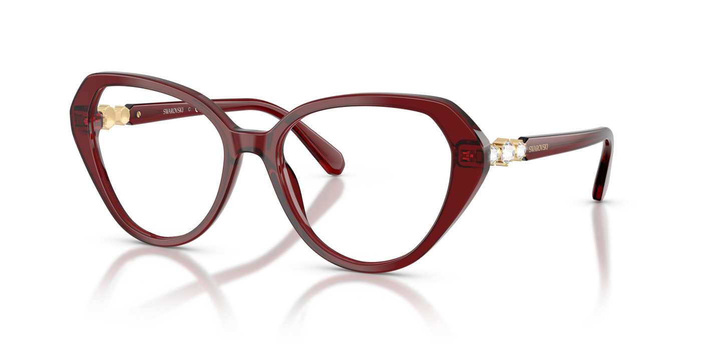 Gafas de Sol Swarovski SK2054 1073 53 17