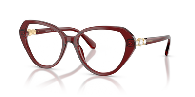 Gafas de Sol Swarovski SK2054 1073 55 17