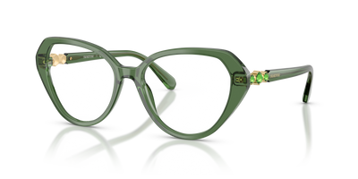 Gafas de Sol Swarovski SK2054 1085 53 17