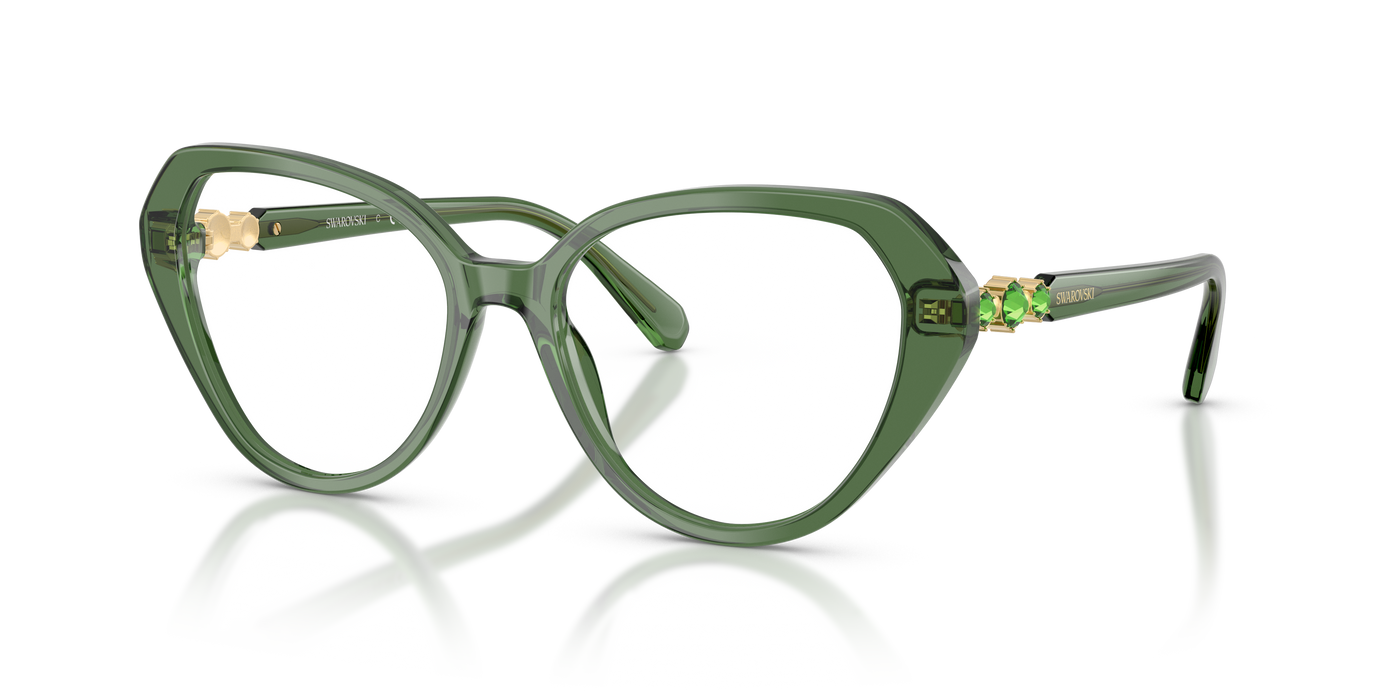 Gafas de Sol Swarovski SK2054 1085 55 17