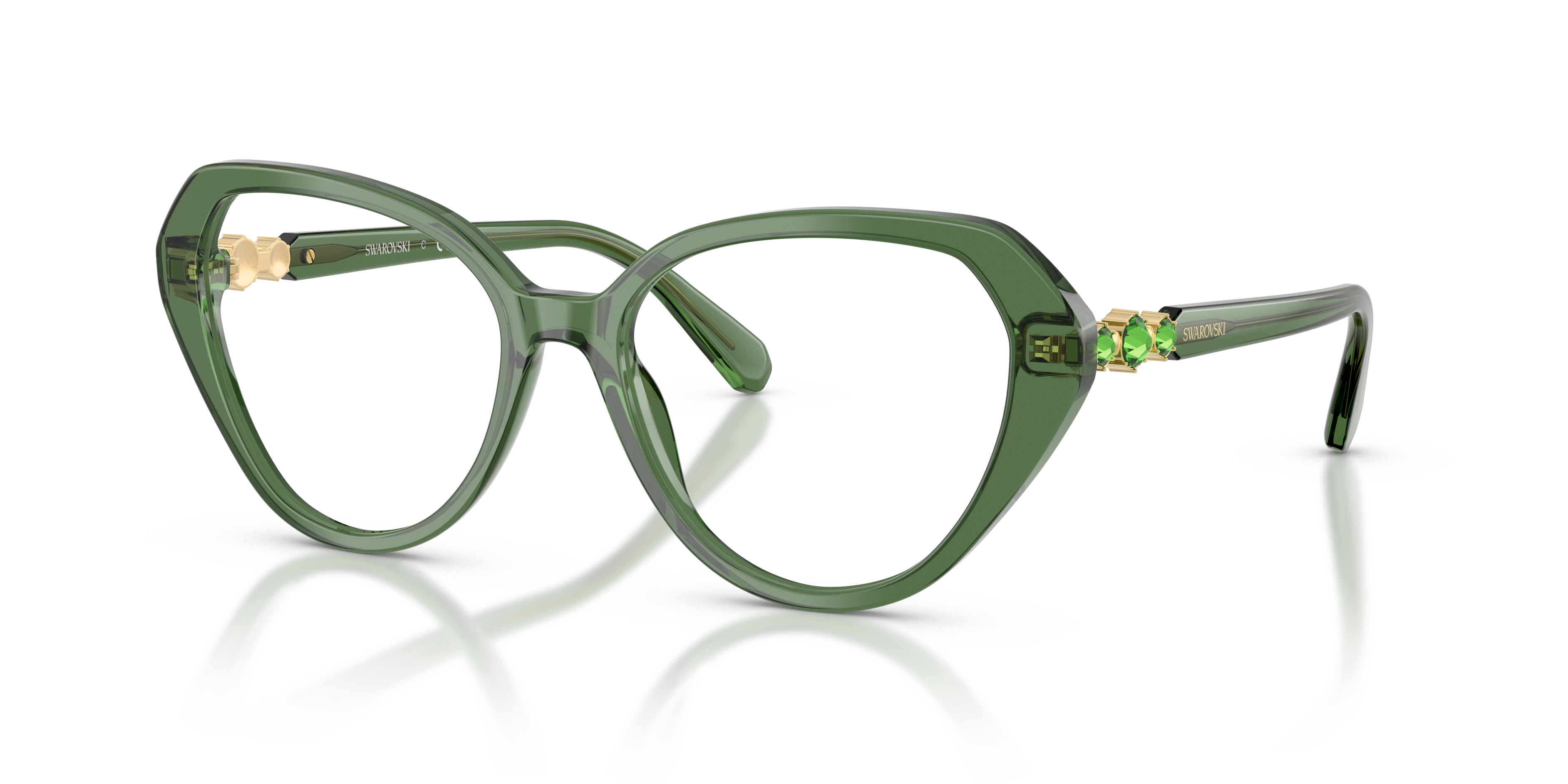 Gafas de Sol Swarovski SK2054 1085 55 17
