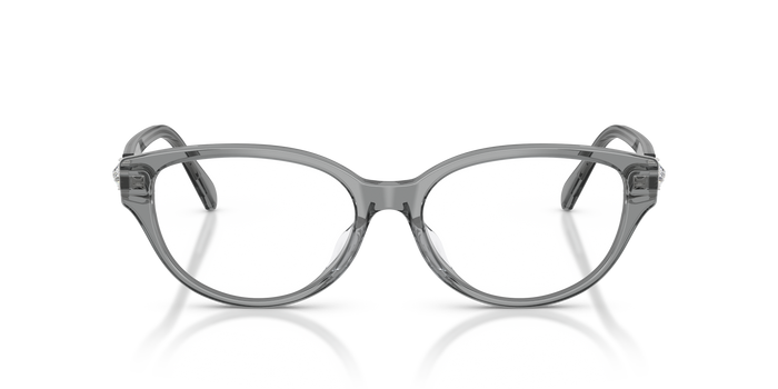 Gafas de Sol Swarovski SK2058D 1062 54 16 — vista 2