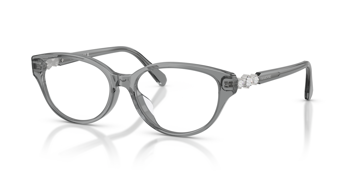 Gafas de Sol Swarovski SK2058D 1062 54 16