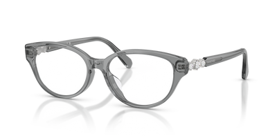Gafas de Sol Swarovski SK2058D 1062 54 16