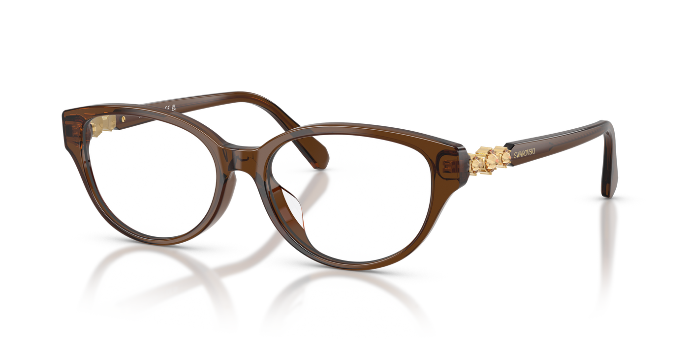 Gafas de Sol Swarovski SK2058D 1084 54 16