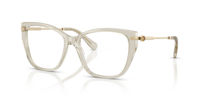 Gafas Graduadas Swarovski SK2060 3003 53 / 55 16