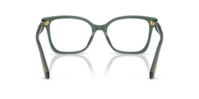 Оправа для очков Swarovski SK2061 1043 53 / 55 17 — vista 3