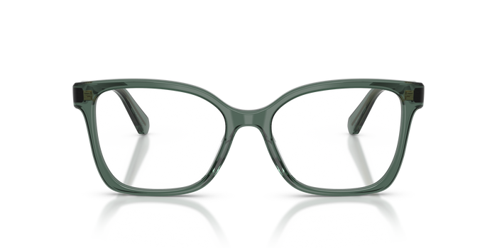 Оправа для очков Swarovski SK2061 1043 53 / 55 17 — vista 4