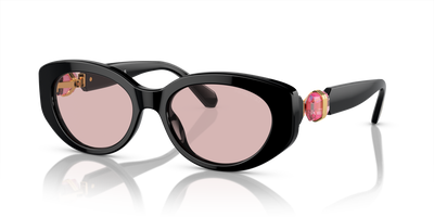Swarovski SK6002 1001/5 53 18 太阳镜