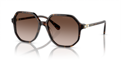 Sunglasses Swarovski SK6003 100213 57 16