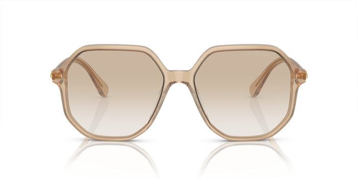 Солнцезащитные очки Swarovski SK6003 103411 57 16 — vista 2