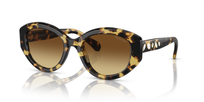 Sunglasses Swarovski SK6005 100913 53 20