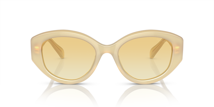 Gafas de Sol Swarovski SK6005 10232Q 53 20 — vista 2