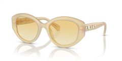 Sunglasses Swarovski SK6005 10232Q 53 20