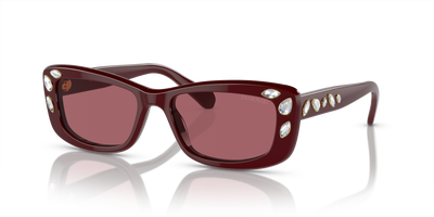 Sunglasses Swarovski SK6008 100869 54 17