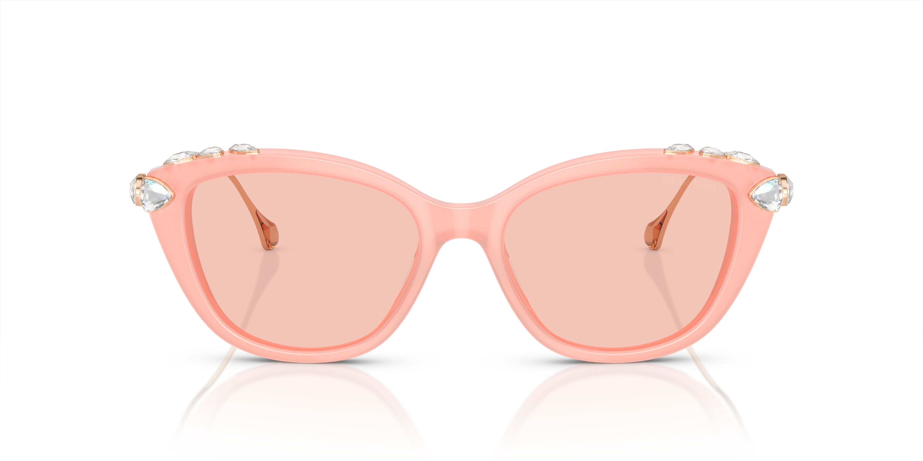 Gafas de Sol Swarovski SK6010 1041/5 53 17