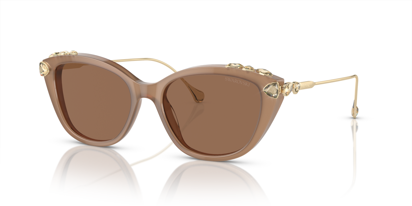 Gafas de Sol Swarovski SK6010 2002OK 53 17
