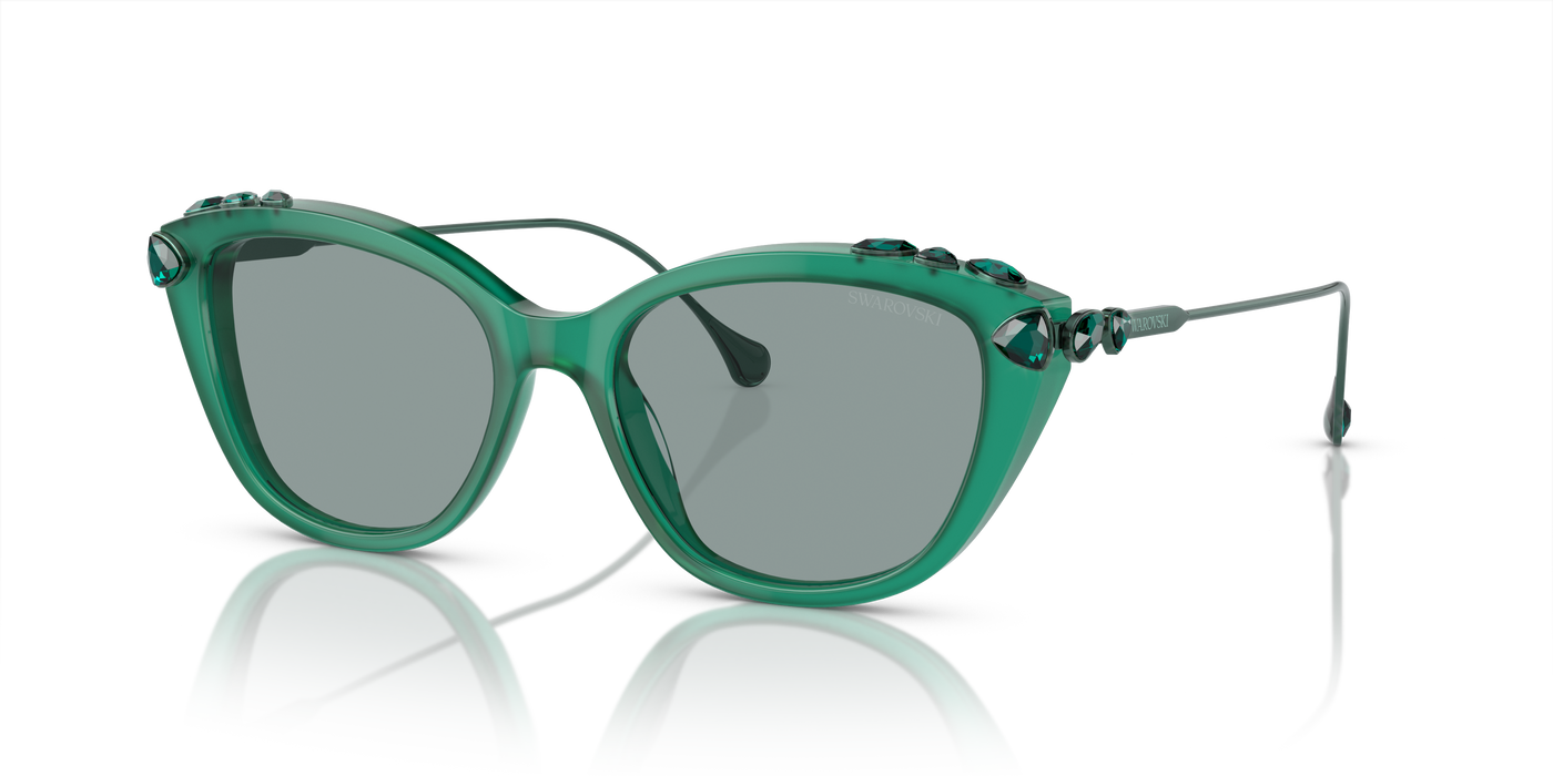Gafas de Sol Swarovski SK6010 2003/1 53 17