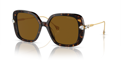 Gafas de Sol Swarovski SK6011 100283 55 17