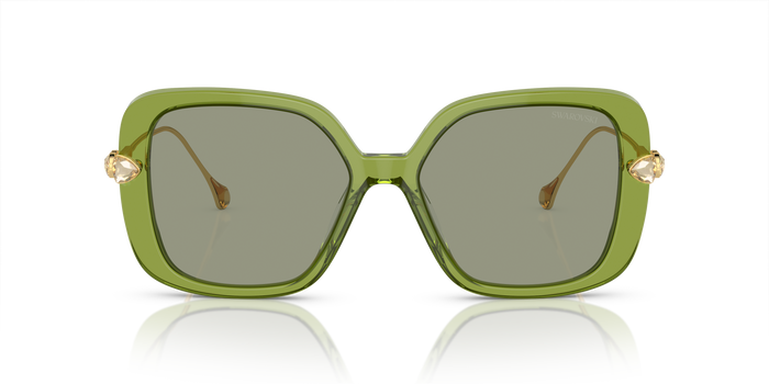 Sonnenbrille Swarovski SK6011 3002/2 55 17 — vista 2