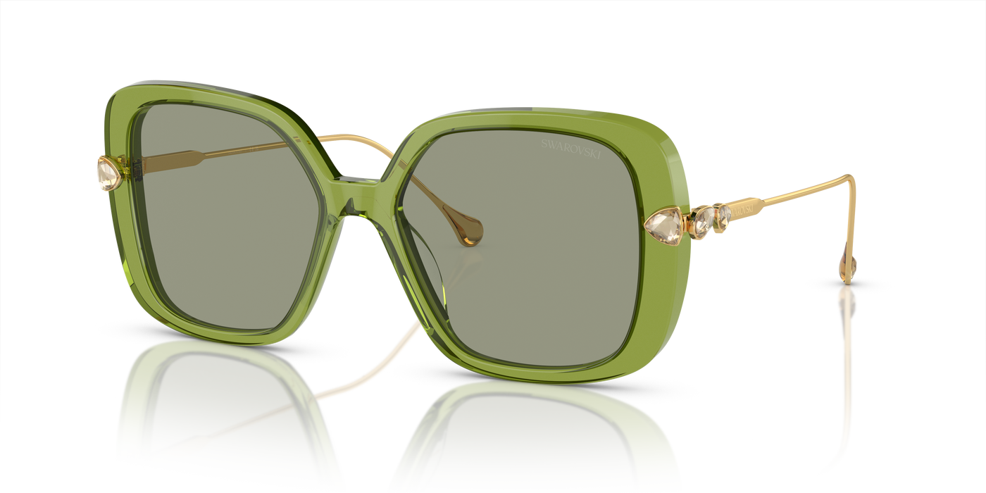 Sonnenbrille Swarovski SK6011 3002/2 55 17