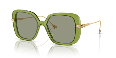 Gafas de Sol Swarovski SK6011 3002/2 55 17